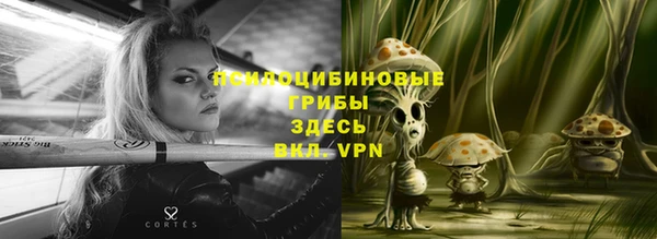 ГАЛЛЮЦИНОГЕННЫЕ ГРИБЫ Алексин