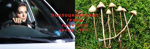 ГАЛЛЮЦИНОГЕННЫЕ ГРИБЫ Алексин