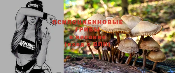 ГАЛЛЮЦИНОГЕННЫЕ ГРИБЫ Алексин