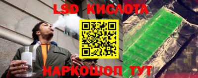 jwh Шебекино