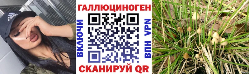 хочу наркоту  Протвино  KRAKEN tor  Псилоцибиновые грибы мицелий 