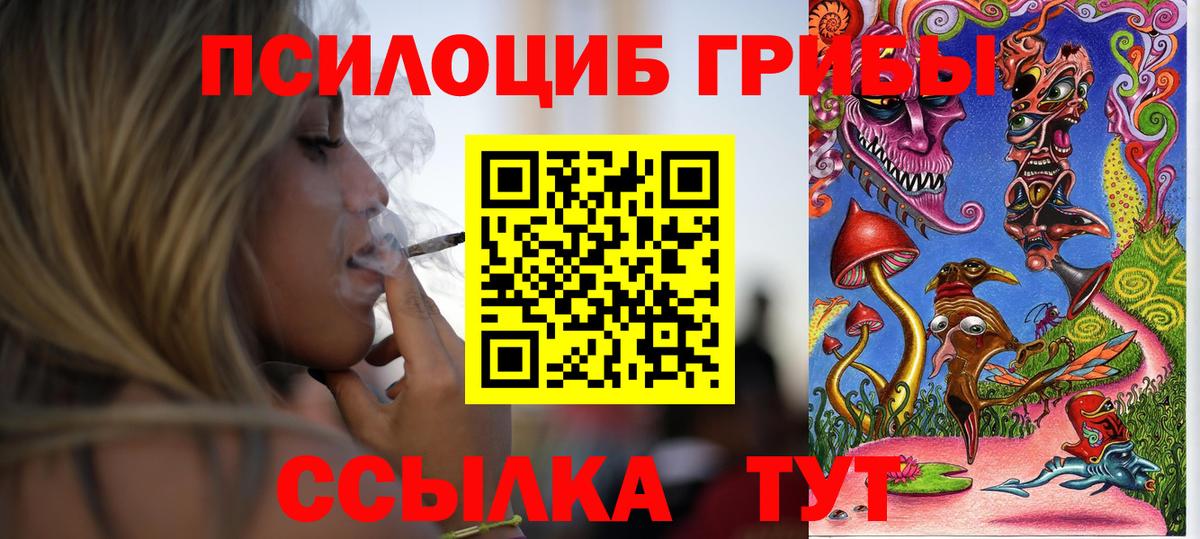 Галлюциногенные грибы Psilocybe Протвино