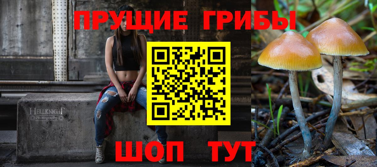 Протвино  Галлюциногенные грибы Cubensis  Вход с VPN 